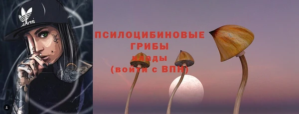 ECSTASY Семикаракорск
